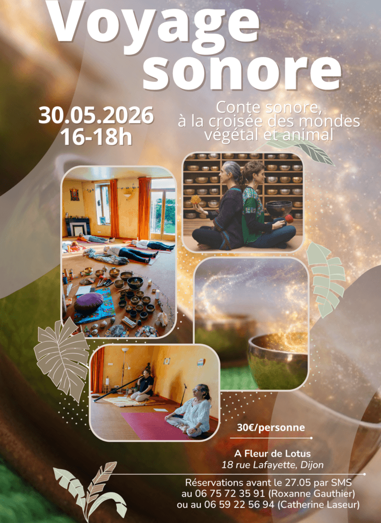 a5 voyage sonore 30 05 26.pdf